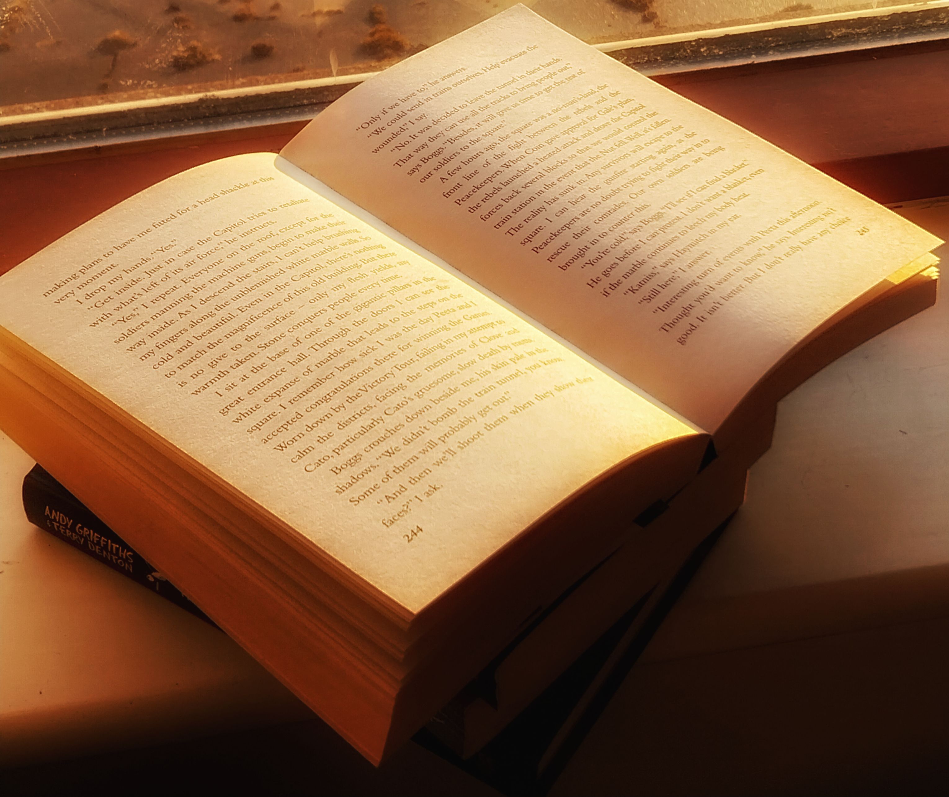 A book lit by the sunrise.